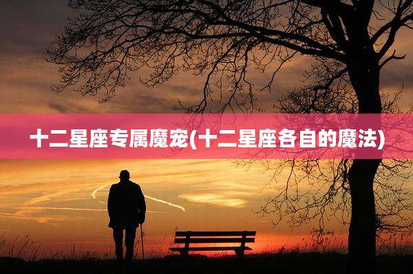 十二星座专属魔宠(十二星座各自的魔法)