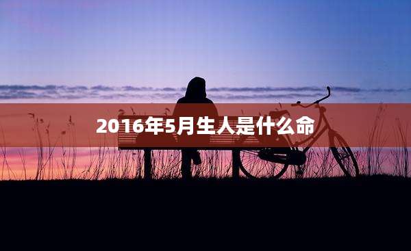 2016年5月生人是什么命