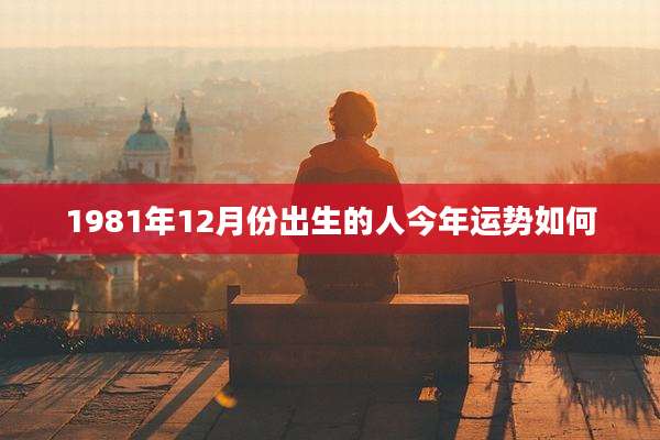 1981年12月份出生的人今年运势如何