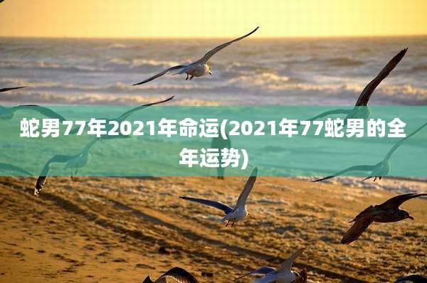 蛇男77年2021年命运(2021年77蛇男的全年运势)