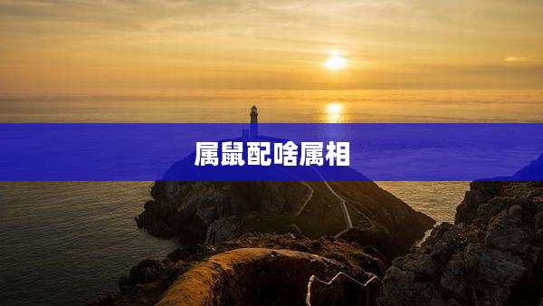 属鼠配啥属相