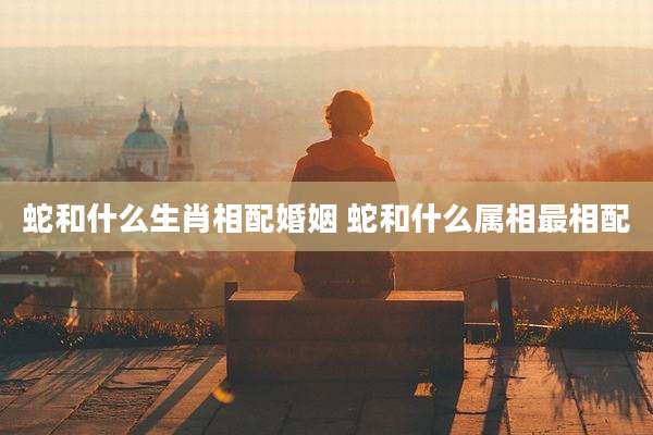 蛇和什么生肖相配婚姻 蛇和什么属相最相配