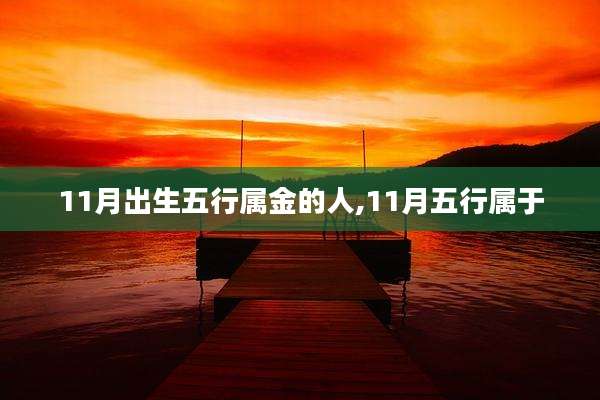 11月出生五行属金的人,11月五行属于
