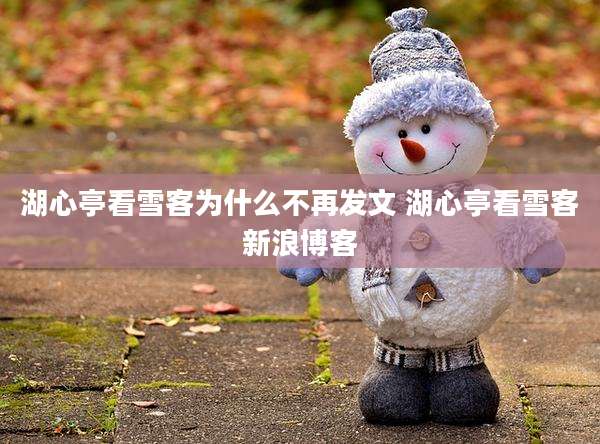 湖心亭看雪客为什么不再发文 湖心亭看雪客新浪博客