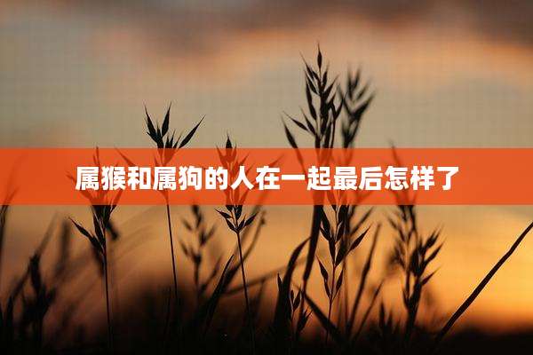 属猴和属狗的人在一起最后怎样了