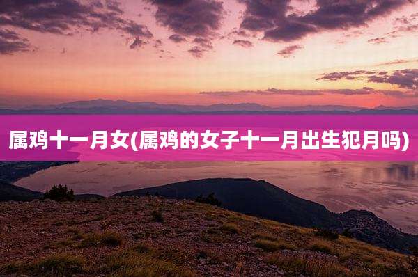 属鸡十一月女(属鸡的女子十一月出生犯月吗)