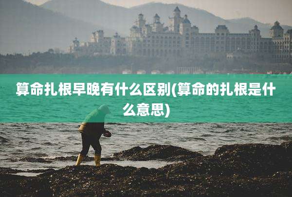 算命扎根早晚有什么区别(算命的扎根是什么意思)