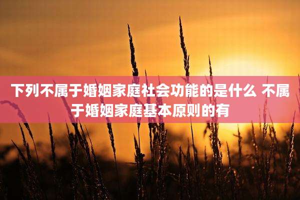 下列不属于婚姻家庭社会功能的是什么 不属于婚姻家庭基本原则的有