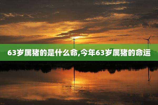 63岁属猪的是什么命,今年63岁属猪的命运