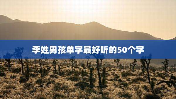 李姓男孩单字最好听的50个字
