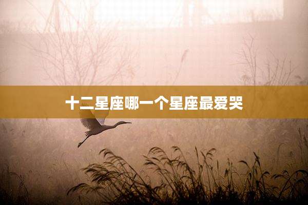 十二星座哪一个星座最爱哭