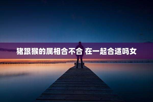 猪跟猴的属相合不合 在一起合适吗女