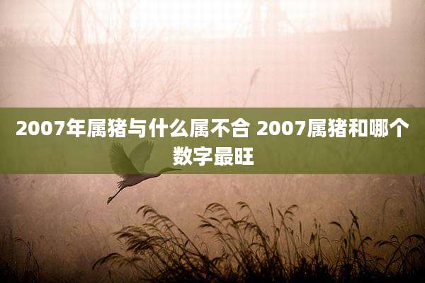 2007年属猪与什么属不合 2007属猪和哪个数字最旺