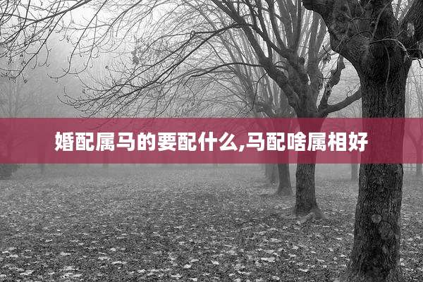 婚配属马的要配什么,马配啥属相好