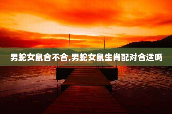 男蛇女鼠合不合,男蛇女鼠生肖配对合适吗
