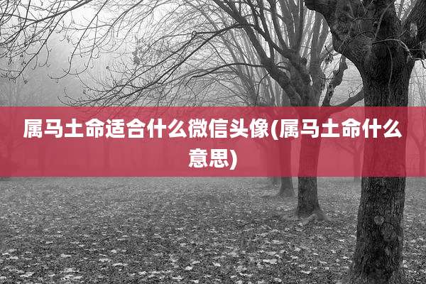 属马土命适合什么微信头像(属马土命什么意思)