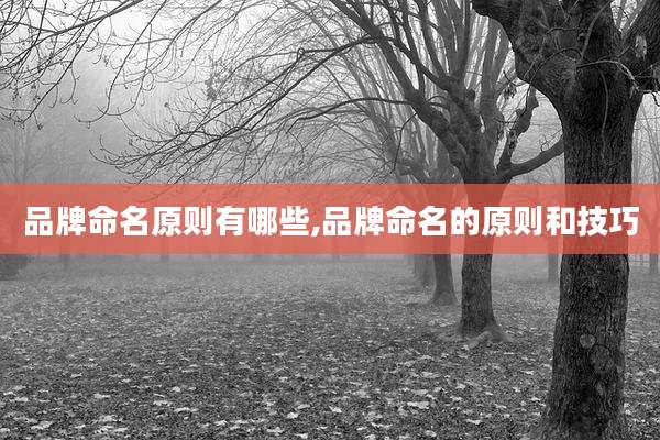 品牌命名原则有哪些,品牌命名的原则和技巧