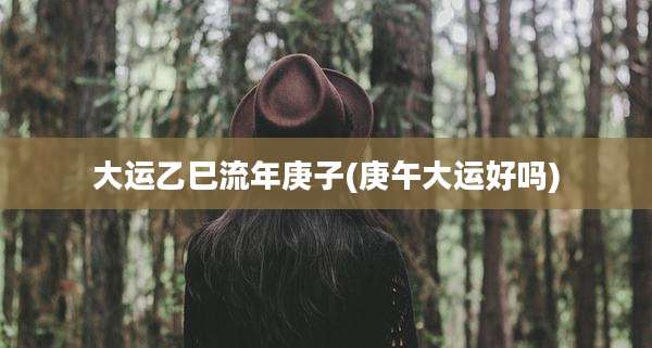 大运乙巳流年庚子(庚午大运好吗)
