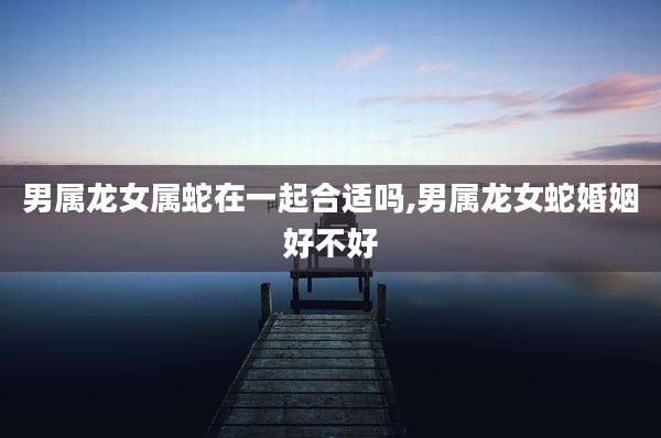 男属龙女属蛇在一起合适吗,男属龙女蛇婚姻好不好