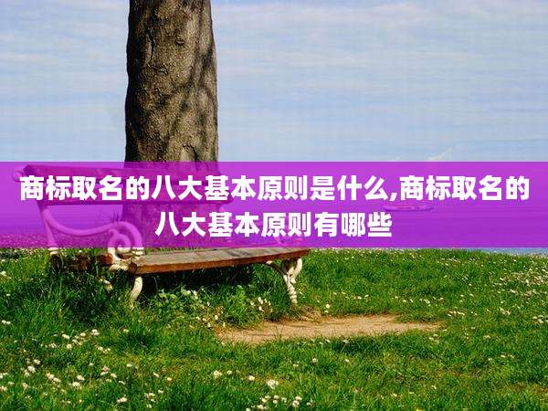 商标取名的八大基本原则是什么,商标取名的八大基本原则有哪些