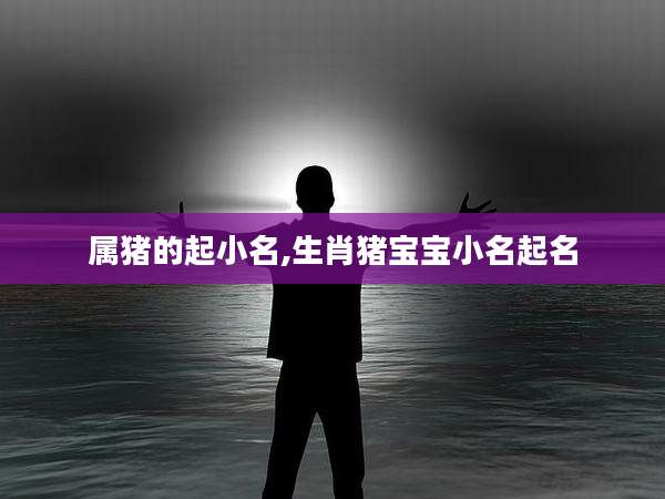 属猪的起小名,生肖猪宝宝小名起名