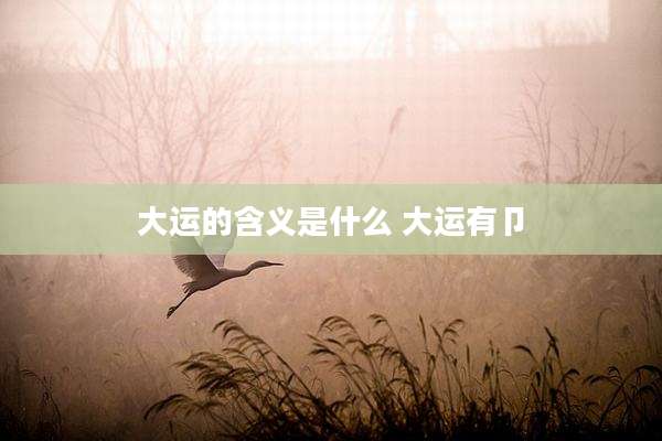 大运的含义是什么 大运有卩