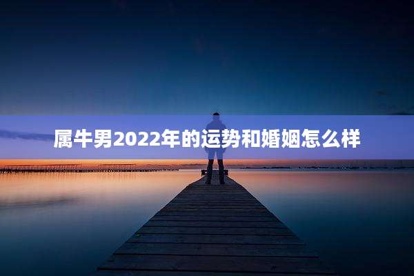 属牛男2022年的运势和婚姻怎么样