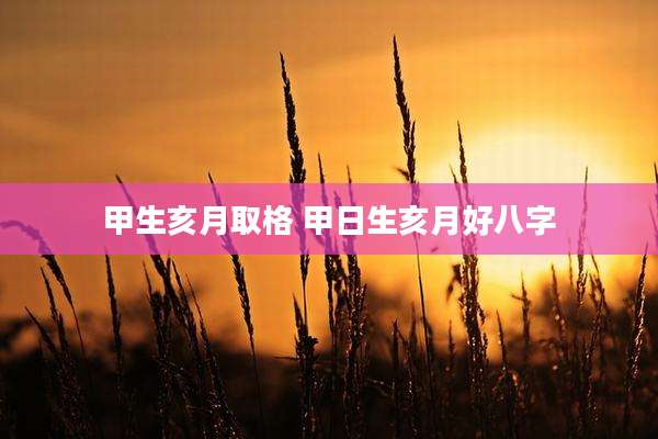 甲生亥月取格 甲日生亥月好八字