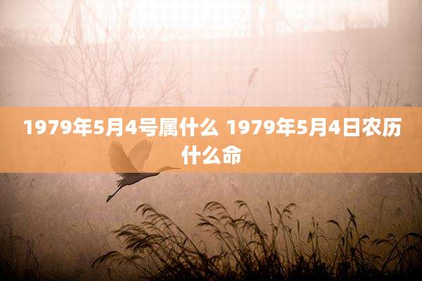 1979年5月4号属什么 1979年5月4日农历什么命