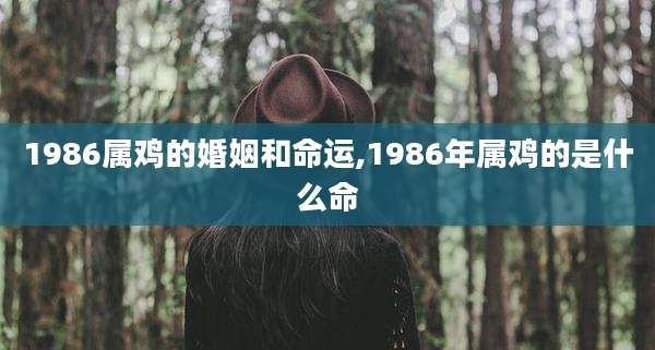 1986属鸡的婚姻和命运,1986年属鸡的是什么命