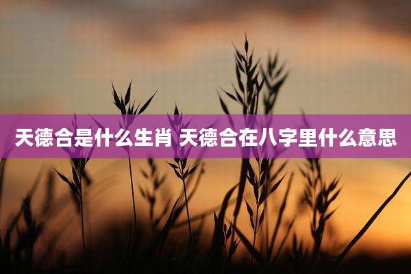 天德合是什么生肖 天德合在八字里什么意思