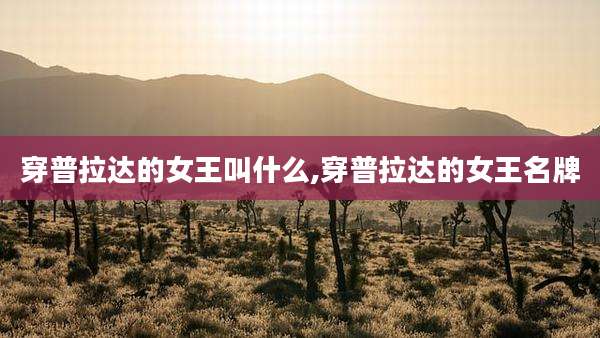 穿普拉达的女王叫什么,穿普拉达的女王名牌