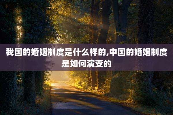 我国的婚姻制度是什么样的,中国的婚姻制度是如何演变的
