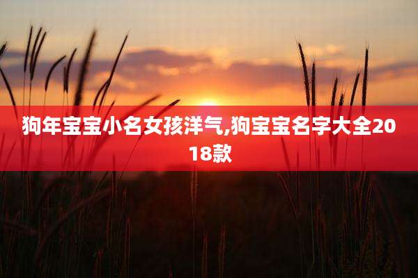 狗年宝宝小名女孩洋气,狗宝宝名字大全2018款