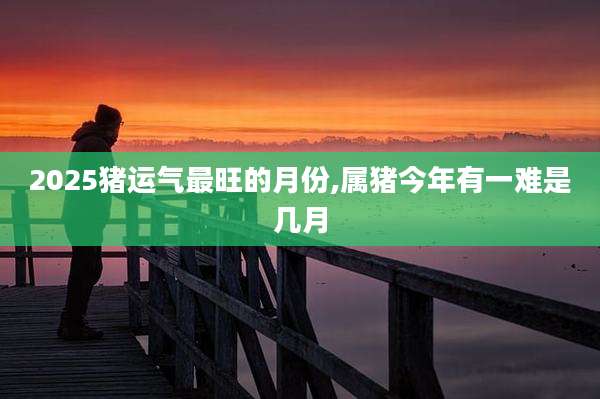 2025猪运气最旺的月份,属猪今年有一难是几月