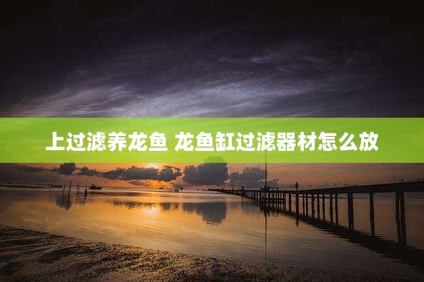 上过滤养龙鱼 龙鱼缸过滤器材怎么放