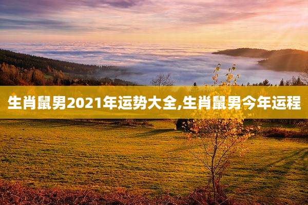 生肖鼠男2021年运势大全,生肖鼠男今年运程