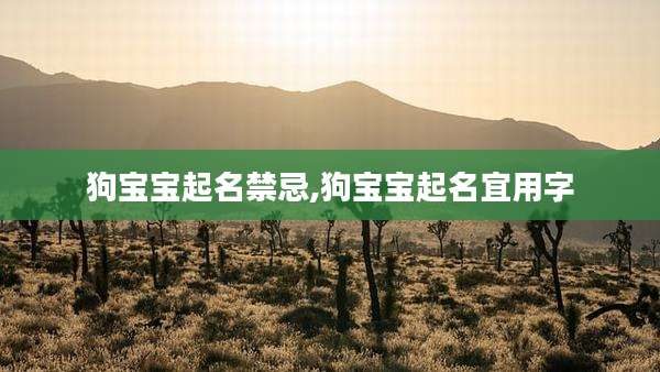 狗宝宝起名禁忌,狗宝宝起名宜用字