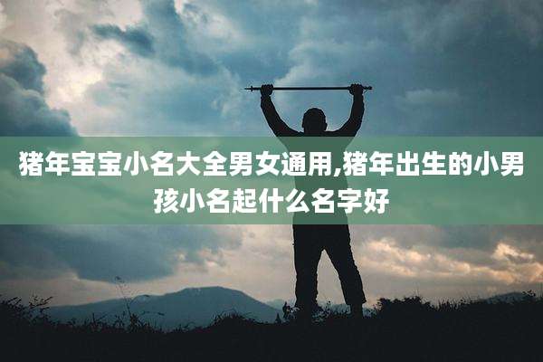 猪年宝宝小名大全男女通用,猪年出生的小男孩小名起什么名字好