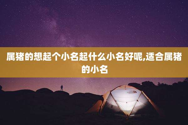 属猪的想起个小名起什么小名好呢,适合属猪的小名