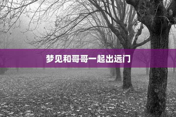 梦见和哥哥一起出远门