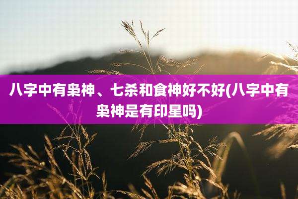 八字中有枭神、七杀和食神好不好(八字中有枭神是有印星吗)