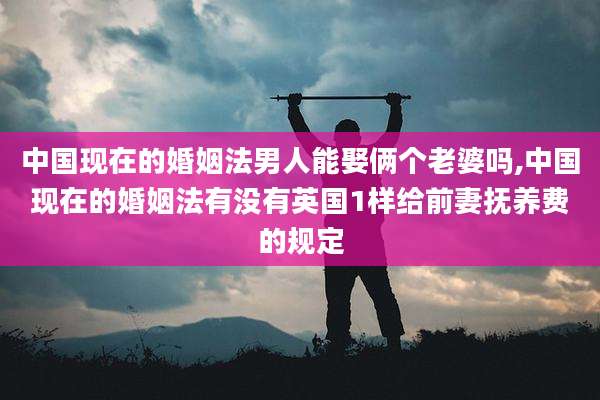 中国现在的婚姻法男人能娶俩个老婆吗,中国现在的婚姻法有没有英国1样给前妻抚养费的规定