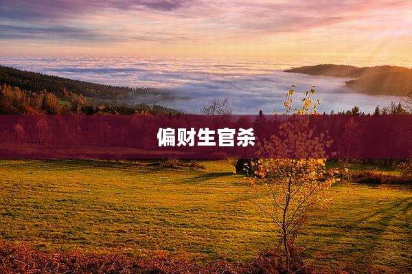 偏财生官杀