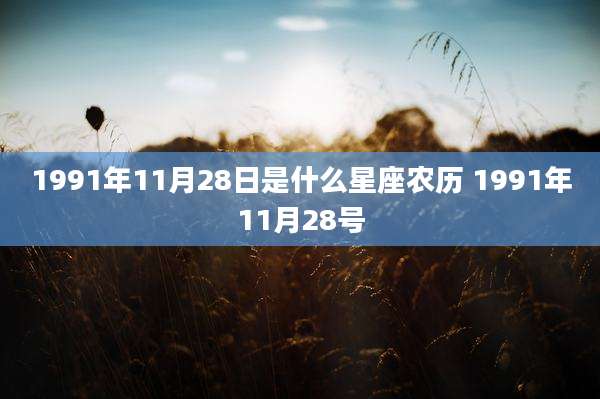 1991年11月28日是什么星座农历 1991年11月28号