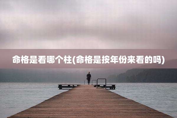 命格是看哪个柱(命格是按年份来看的吗)
