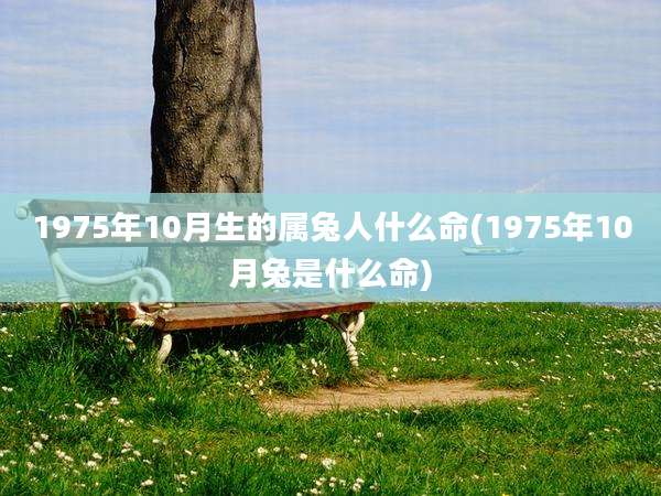 1975年10月生的属兔人什么命(1975年10月兔是什么命)