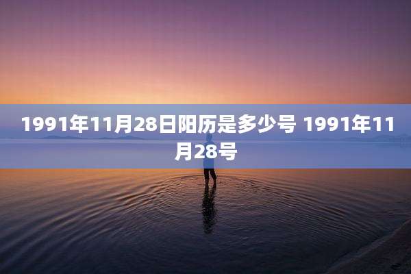 1991年11月28日阳历是多少号 1991年11月28号