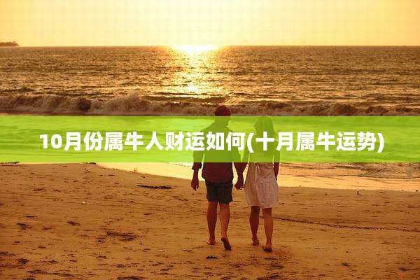 10月份属牛人财运如何(十月属牛运势)