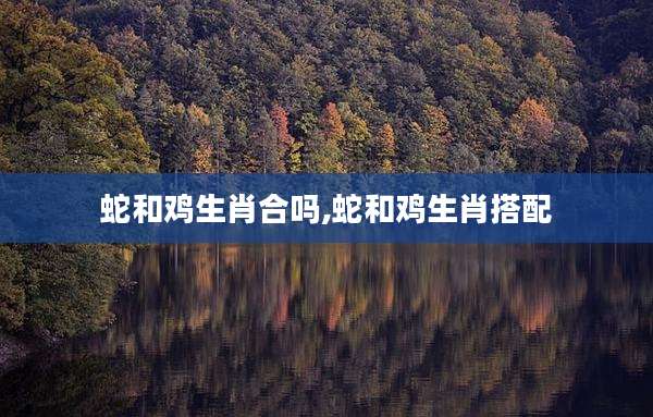 蛇和鸡生肖合吗,蛇和鸡生肖搭配